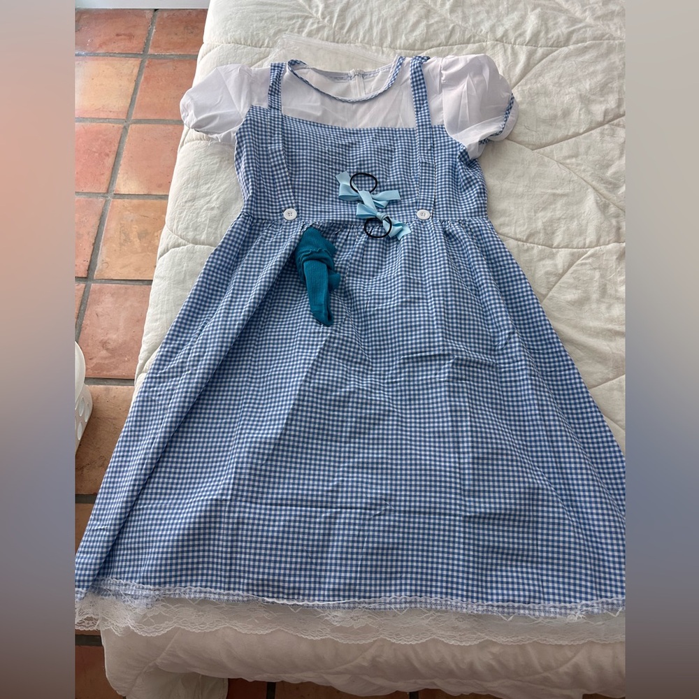 Dorothy Costume